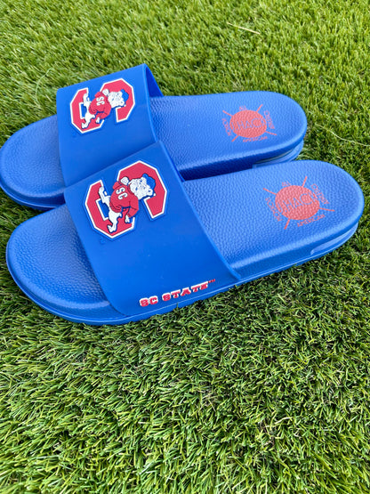 SC State Slides